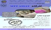 کارگاه MTT ASSAY