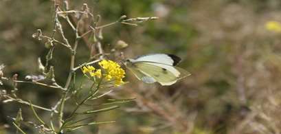 گالری تصاویر معاونت تحقیقات و فناوری